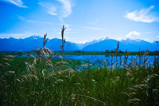 Premium Photographic Print, , large