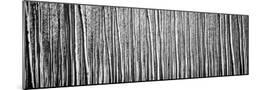 Wood Mount