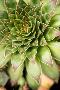 Just the Print