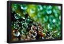 Essential Black