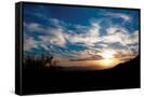 Canvas Black