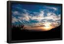 Essential Black