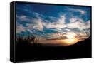 Canvas Black