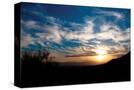 Stretched Canvas