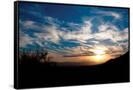 Canvas Black