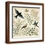 Brown Frame