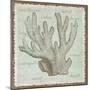 Wood Mount