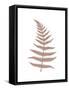 Framed Canvas