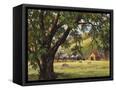 Canvas Black