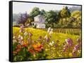 Canvas Black