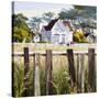 Stretched Canvas