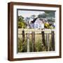 Brown Frame