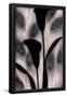 Essential Black