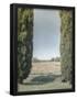 Essential Black