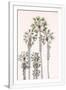 Gramercy White