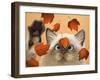 Erin Martin-Lowell Herrero-Framed Art Print