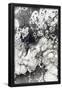 Essential Black