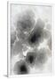Gramercy White