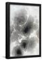 Essential Black