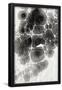 Essential Black