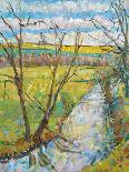 The Flooded Cherwell from Rousham II-Erin Townsend-Giclee Print