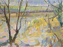 The Flooded Cherwell from Rousham I-Erin Townsend-Giclee Print