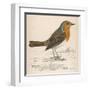 Erithacus Rubecula-Reverend Francis O. Morris-Framed Art Print