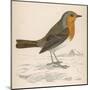 Erithacus Rubecula-Reverend Francis O. Morris-Mounted Art Print