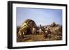 Eritrea, 1893-Michele Cilea-Framed Giclee Print