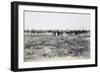 Eritrea, Ailet, the Second Cagni Brigade in Reconnaissance-null-Framed Giclee Print