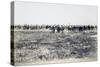 Eritrea, Ailet, the Second Cagni Brigade in Reconnaissance-null-Stretched Canvas