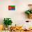 Eritrea Flag Design with Wood Patterning - Flags of the World Series-Philippe Hugonnard-Art Print displayed on a wall