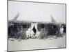 Eritrea, Italian Troops Command Encampment, Circa 1888-null-Mounted Giclee Print