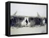 Eritrea, Italian Troops Command Encampment, Circa 1888-null-Framed Stretched Canvas