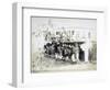 Eritrea, Massawa, Caffe Garibaldi, Italian Officers Meeting-null-Framed Giclee Print