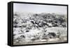 Eritrea, Saati, Cagni Brigade, Assante Battery, Observation Field-null-Framed Stretched Canvas