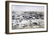 Eritrea, Saati, Cagni Brigade, Assante Battery, Observation Field-null-Framed Giclee Print