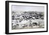 Eritrea, Saati, Cagni Brigade, Assante Battery, Observation Field-null-Framed Giclee Print