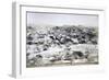 Eritrea, Saati, Cagni Brigade, Assante Battery, Observation Field-null-Framed Giclee Print