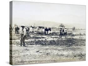 Eritrea, View of Ailet after Fire-null-Stretched Canvas