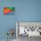 Eritrean Flag-daboost-Mounted Art Print displayed on a wall