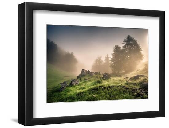 Premium Photographic Print, , large