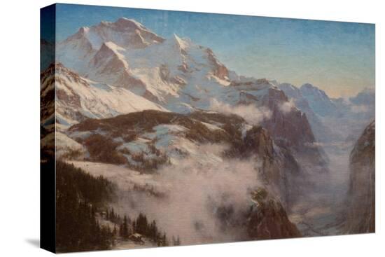 Stretched Canvas Print, , large