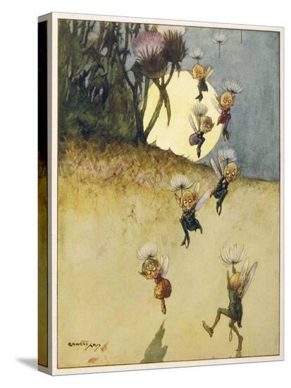 Stretched Canvas Print, , large