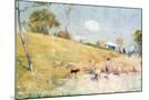 Wood Mount