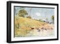 Black Frame