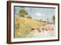 Brown Frame