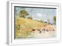 White Frame