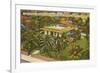 Ernest Hemingway Home, Key West, Florida-null-Framed Premium Giclee Print