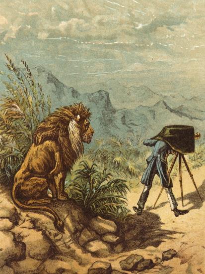 Photographic Print, , large